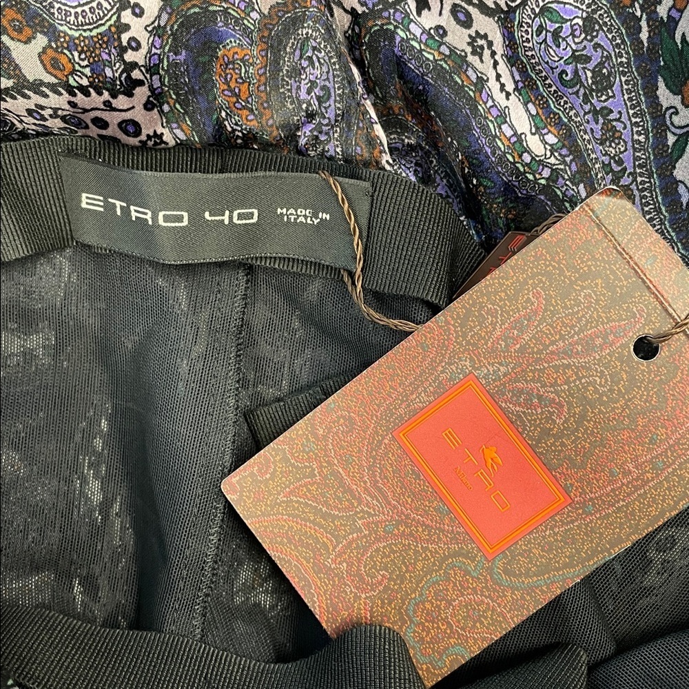 NWT Etro Runway Silk Paisley Deep V Maxi Dress Gown Sz 40 - Picture 6 of 16